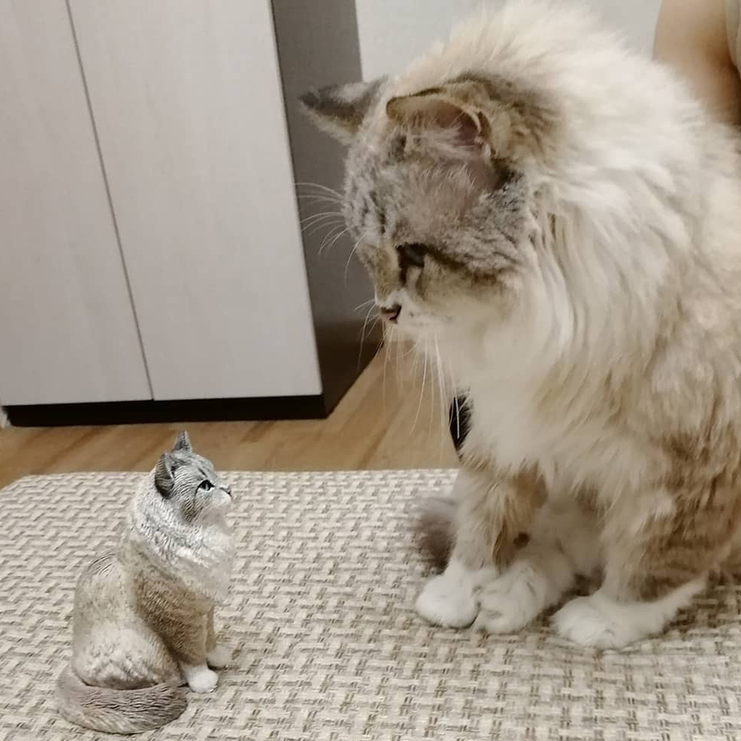 Fully Customizable Figure Bobblehead - One Pet